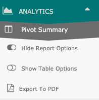 Pivot-Summary---Options-.png